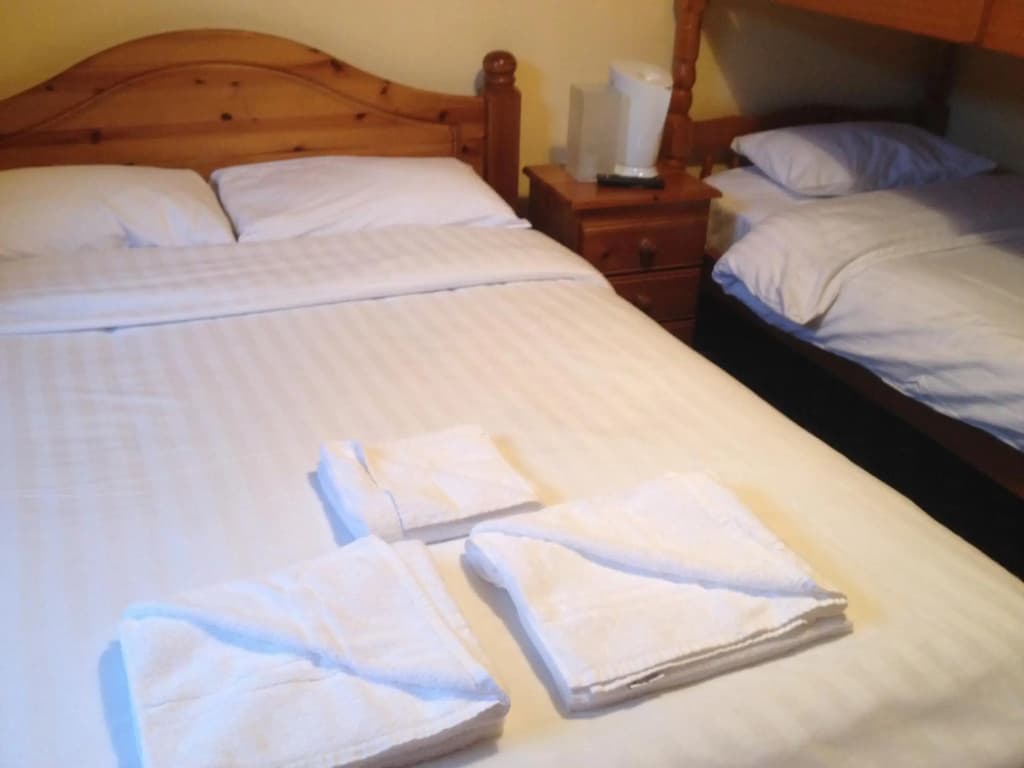 Twin Lions Hotel - photo 13