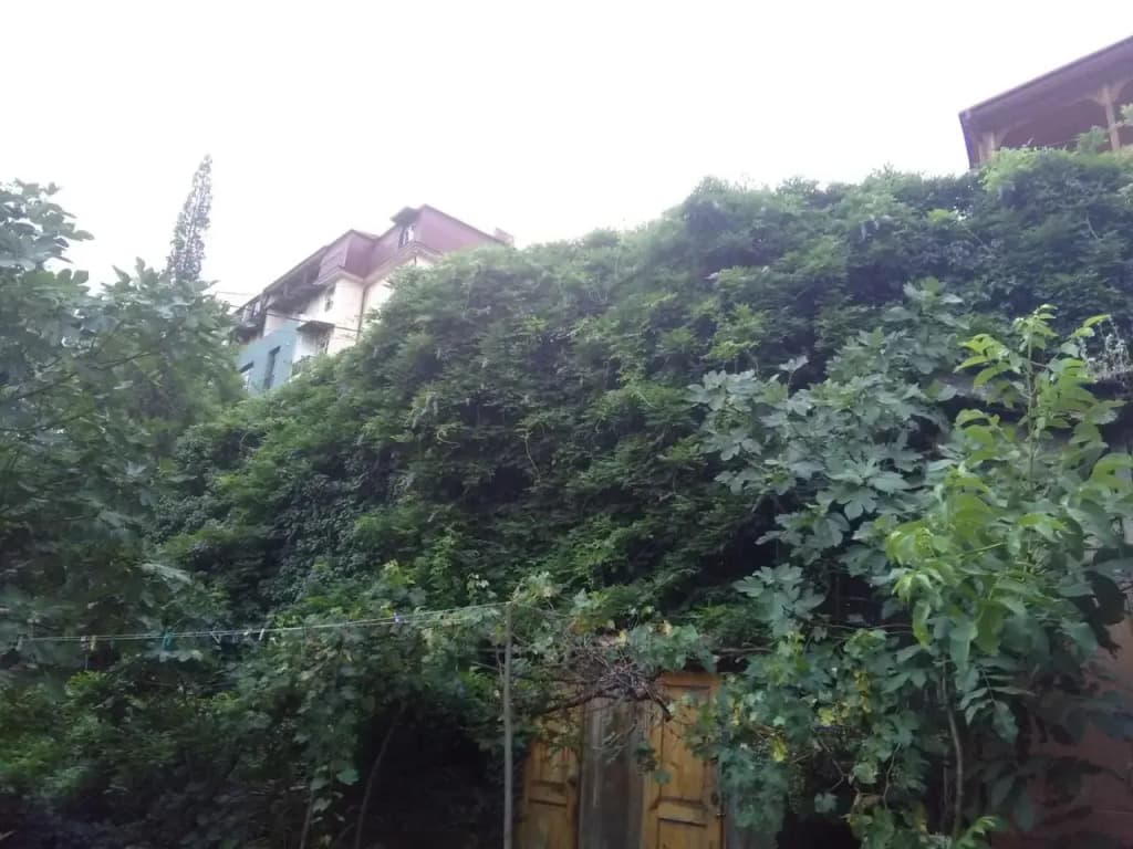 Apartment Marina - photo 13