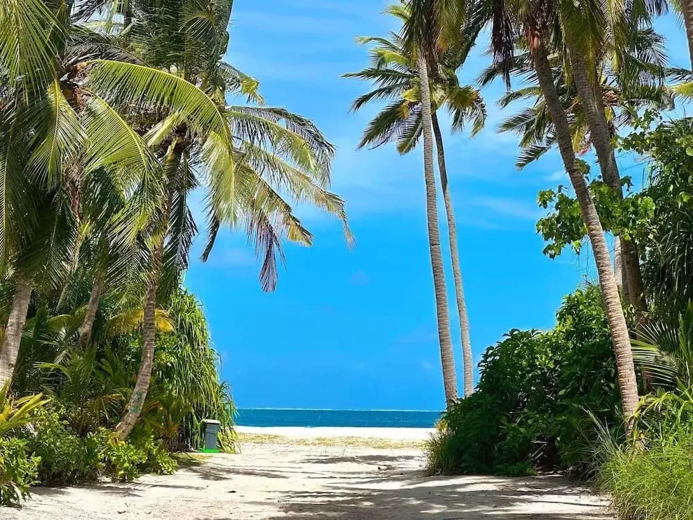 WhiteSand - photo 32
