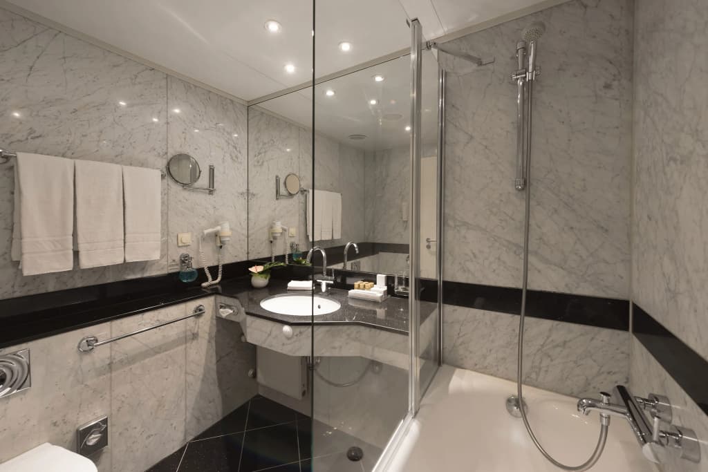 Maritim proArte Hotel Berlin - photo 41