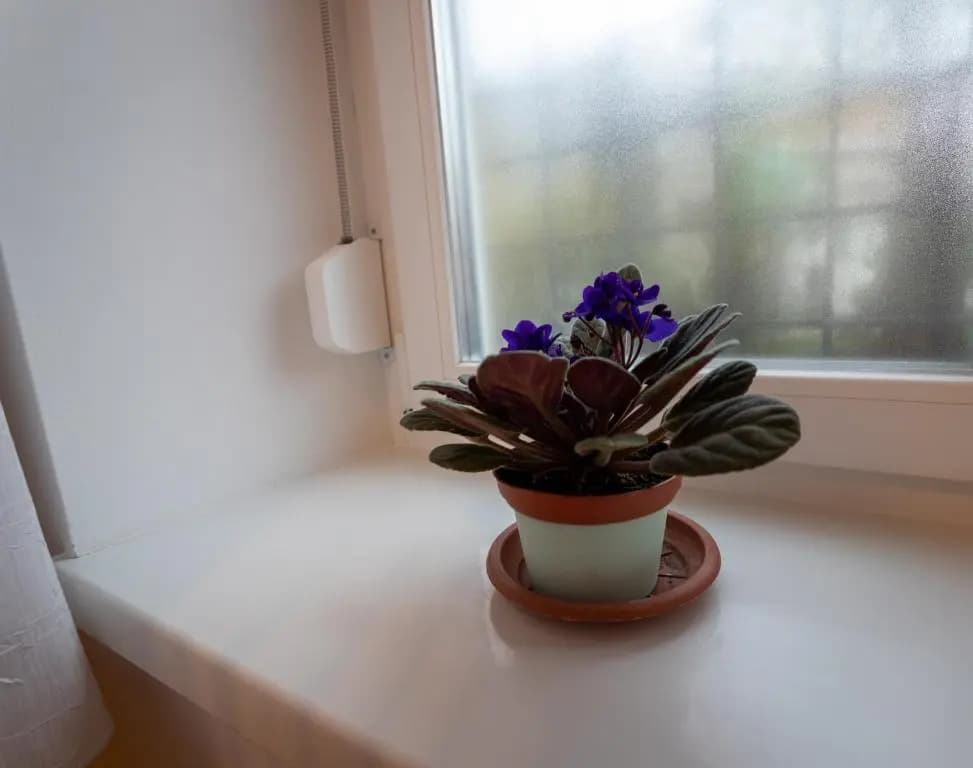 Sunbird Apartman Budapest - main photo
