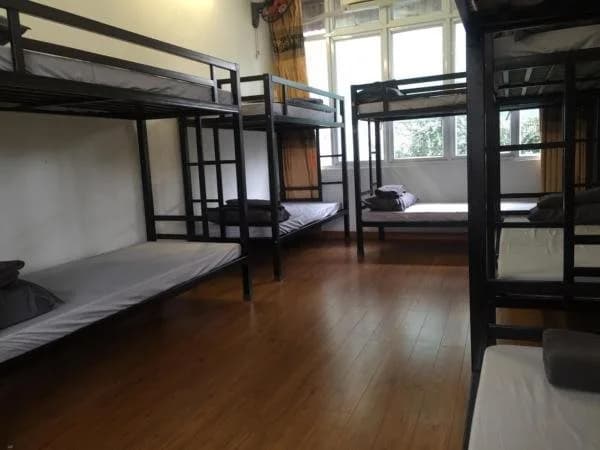 Meow Hostel - photo 2