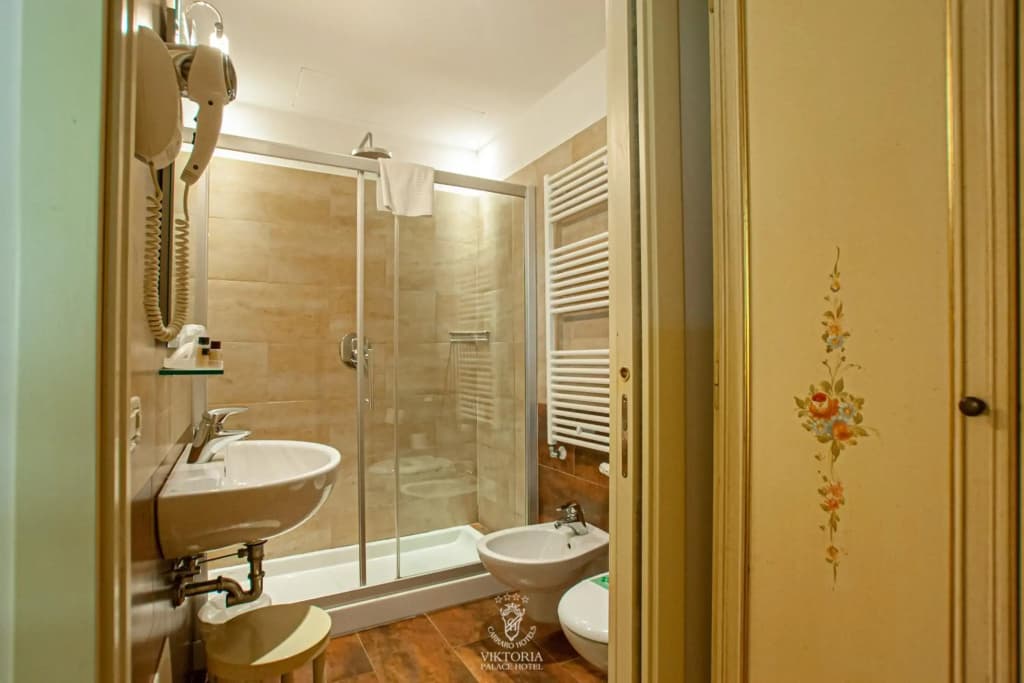 Viktoria Palace Hotel - photo 19