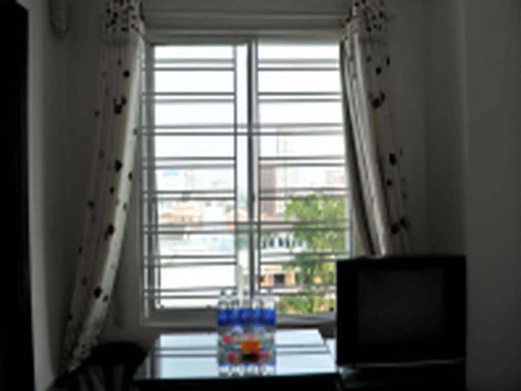 Vinapha Hotel - photo 10