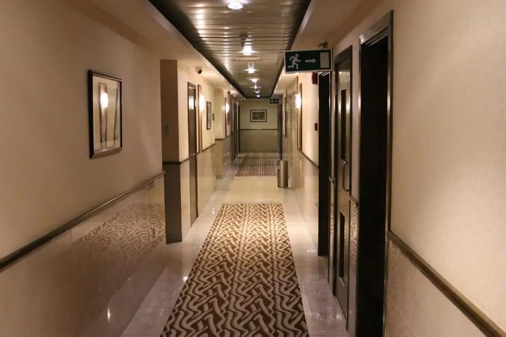 GSS Palace Hotel - photo 50