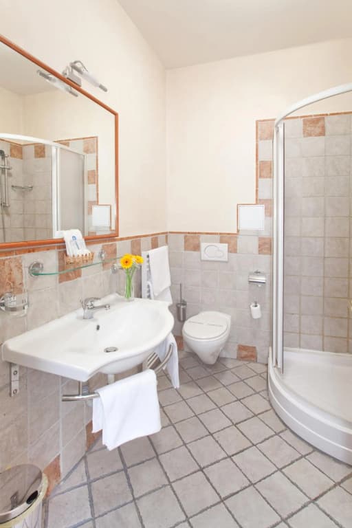 Hotel Tivoli Prague - photo 23