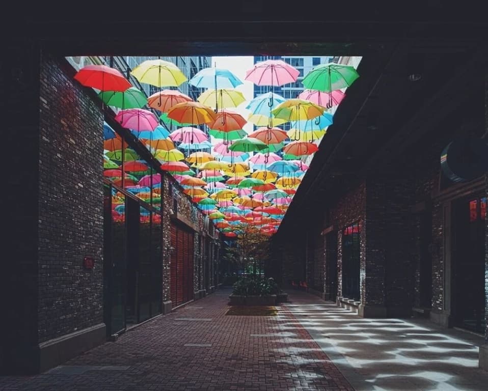 TheDuplexEmpire - photo 13