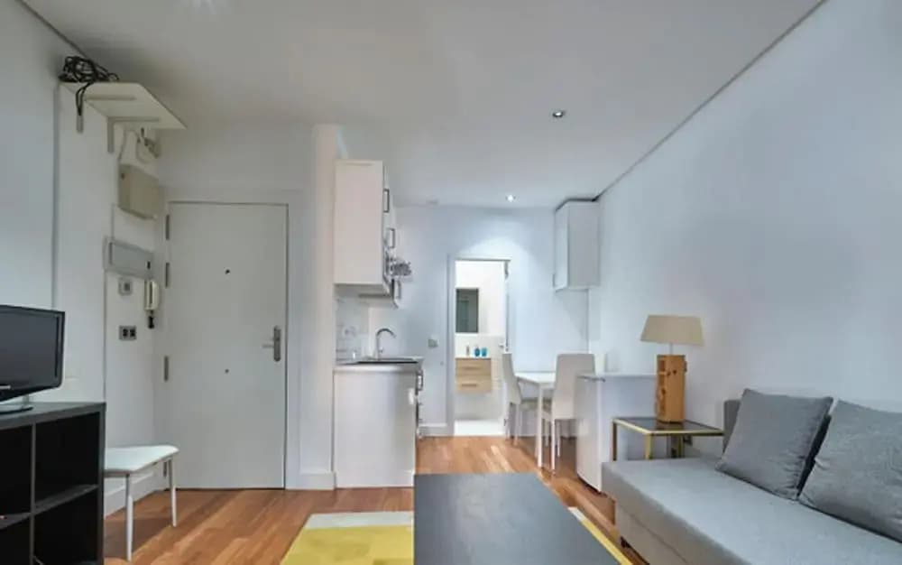 Madrid City Apartment - photo 10