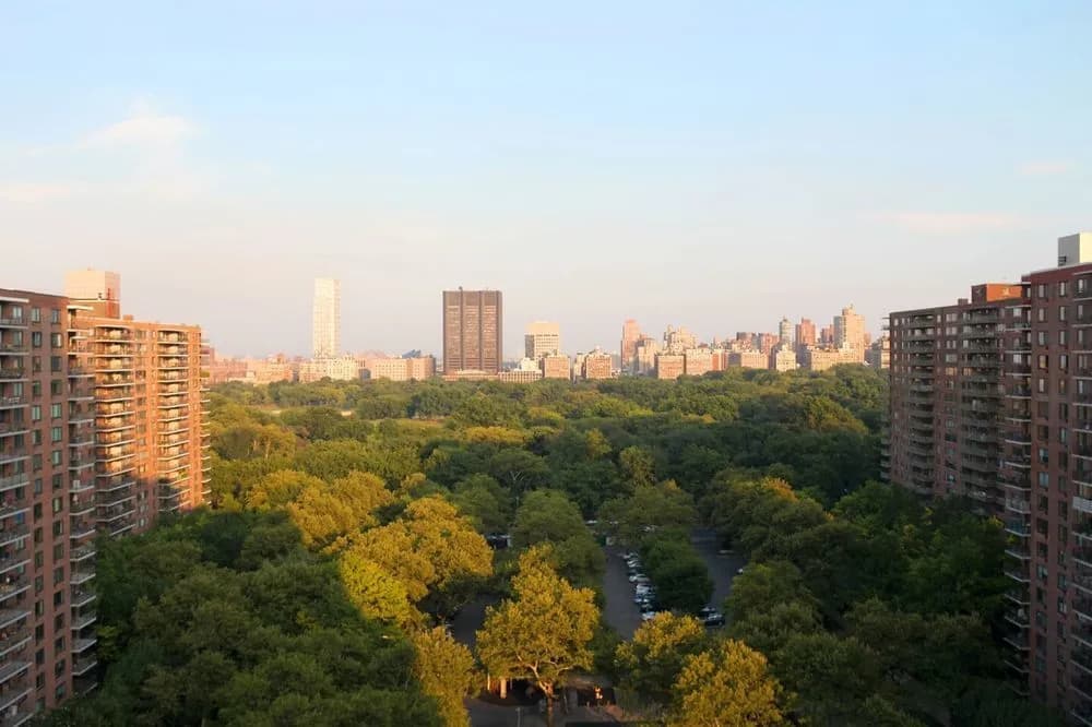 Central Park View IV - photo 13