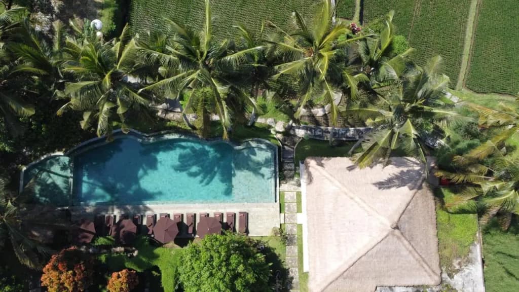MATHIS Retreat Ubud - photo 41