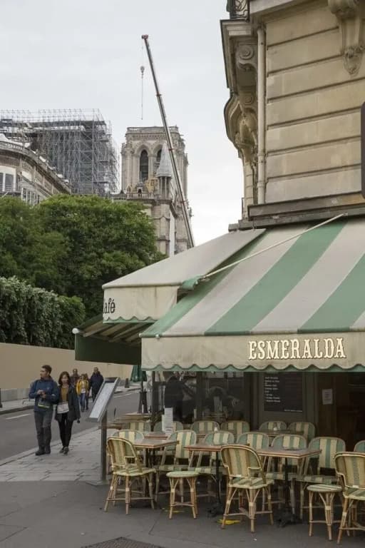 Classical on Île de la Cité - photo 1