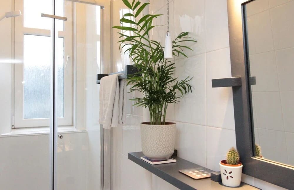 Bright, Spacious Flat For 2 in Edinburgh - photo 8