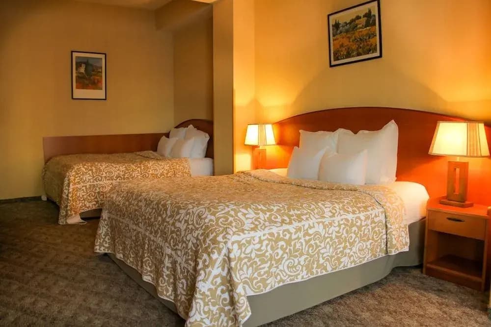 Hotel Primavera - photo 5