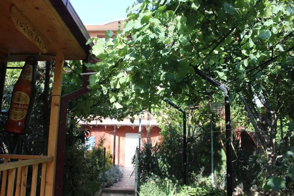 Hotel Panafi - photo 19