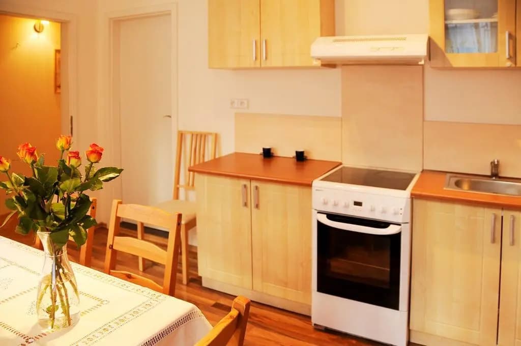 Apartment Romana - photo 10