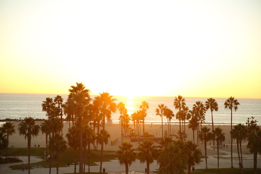 Erwin Venice Beach Hotel - photo 30