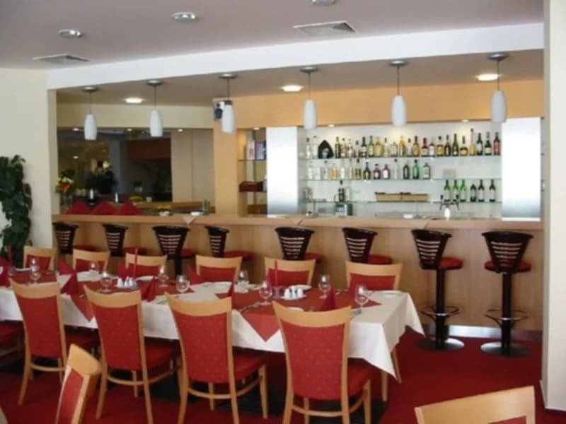 Hotel Cechie Praha - photo 31