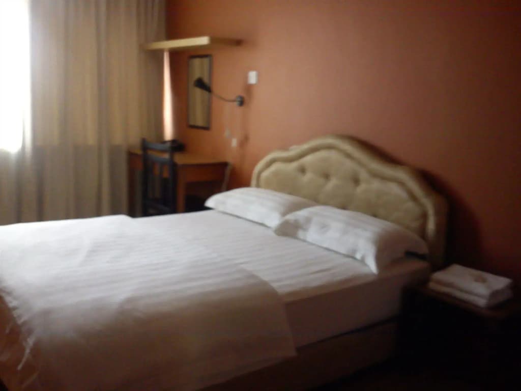 Rafflesia Inn - photo 4