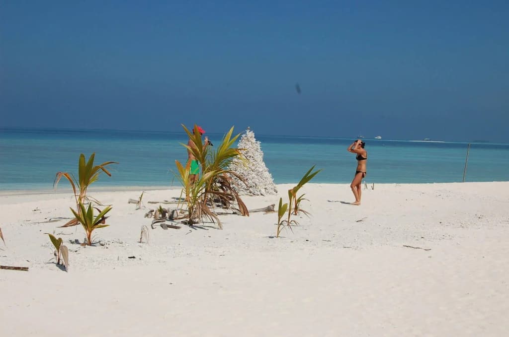 Vaali Maldives Island Escapes & Dive Guest House - photo 20