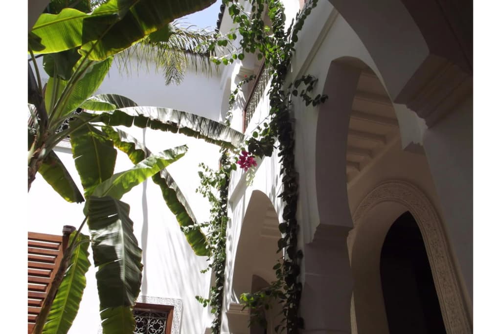 Riad les Bougainvilliers - photo 15