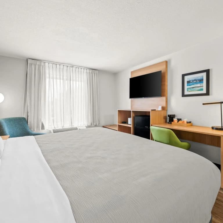 Quality Inn Orlando Near International Drive - photo 34
