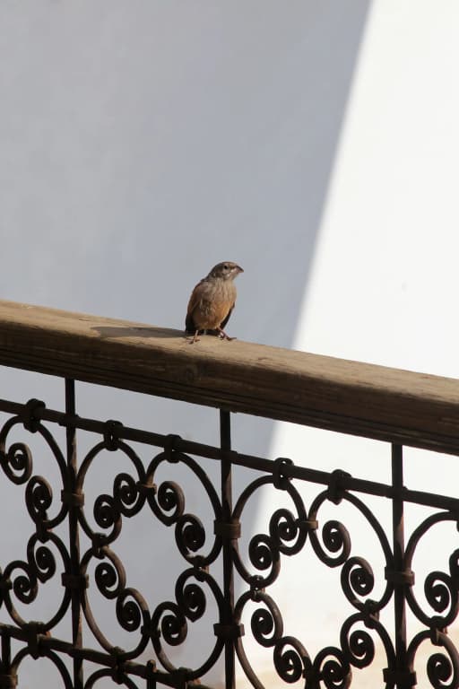 Riad Dar Massai - photo 30