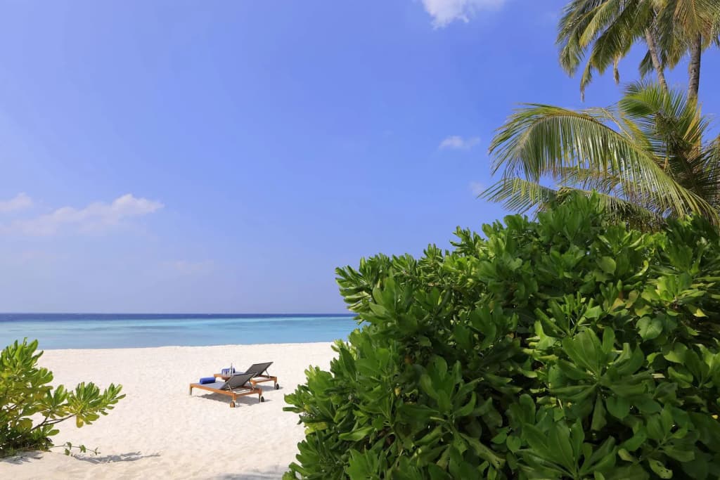 Avani+ Fares Maldives Resort - photo 24