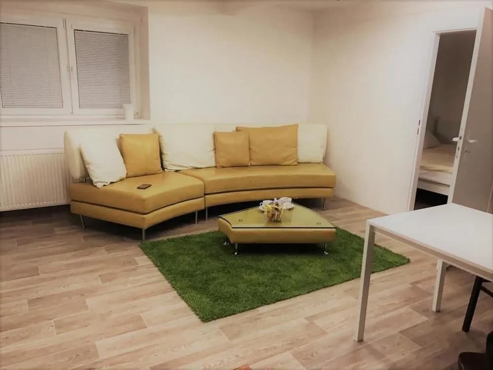 Centrum Apartments Podoli - photo 2