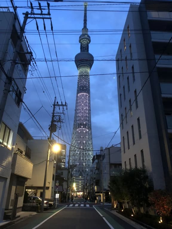 La Krasse Sumida - photo 9