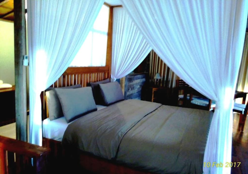 Shania Villas Canggu - main photo