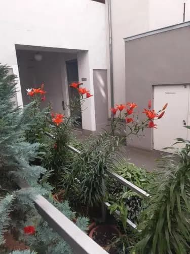 Apartment Dahlia - photo 6