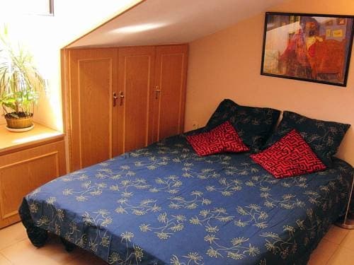 Olmo - main photo