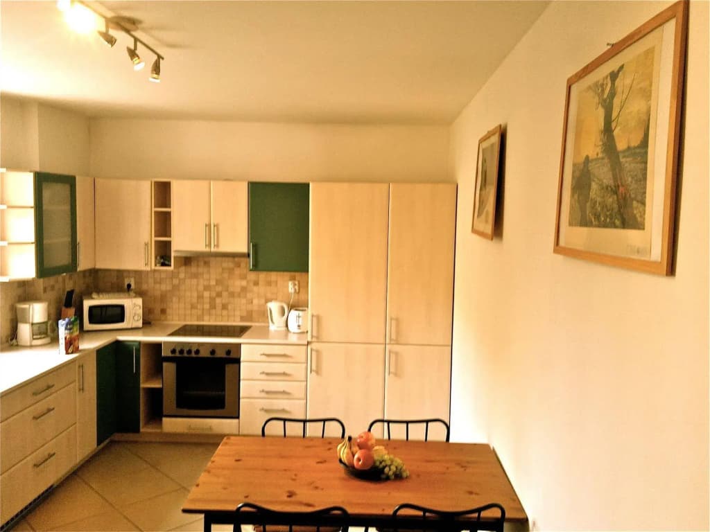 Residence Pinkas Prague - photo 13