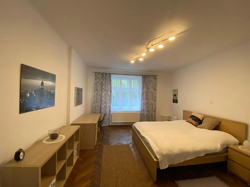Apartman Xaveriova - photo 4