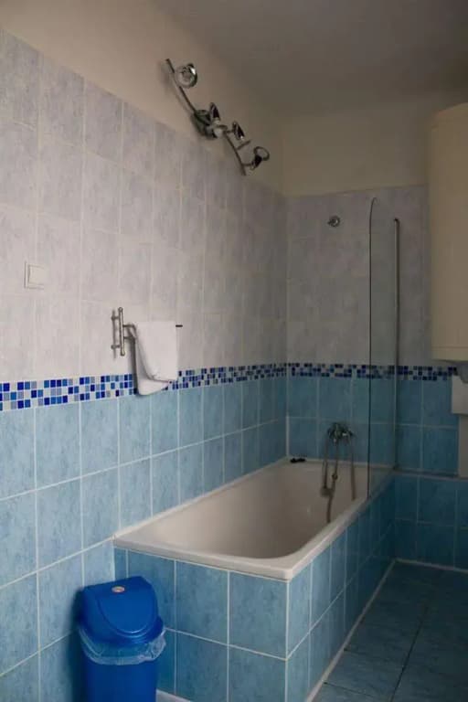 Charles Bridge Apartments - photo 7