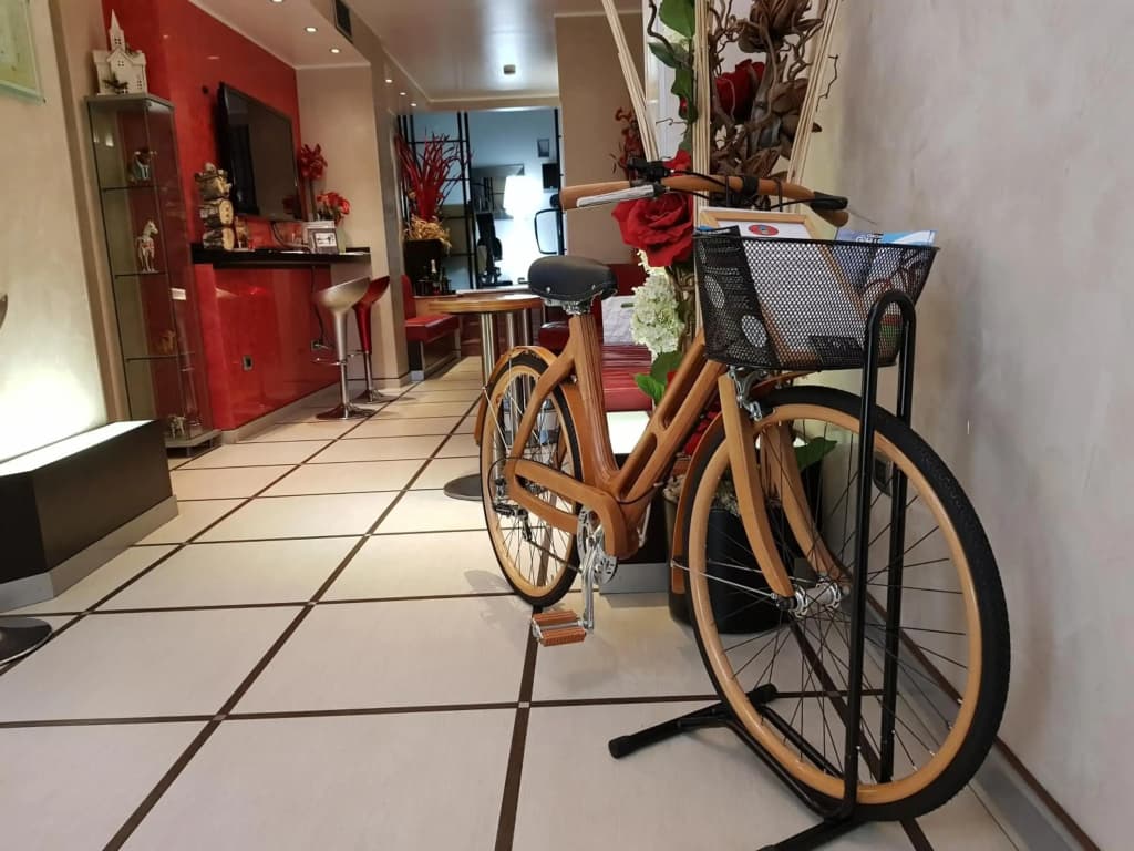 Hotel Susa - photo 17