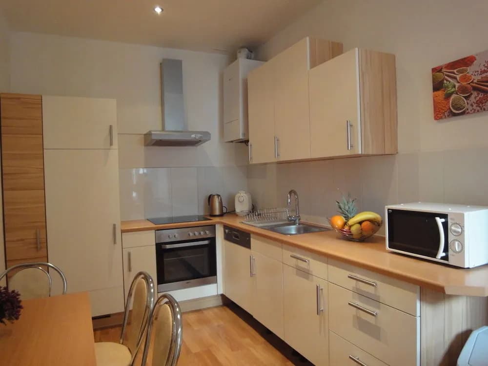 Four Seasons Apartment - photo 7