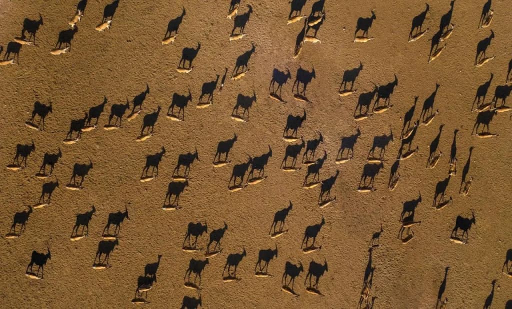 Anantara Al Sahel Villa Resort - photo 17