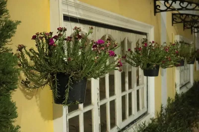 Lm Hostel - photo 25
