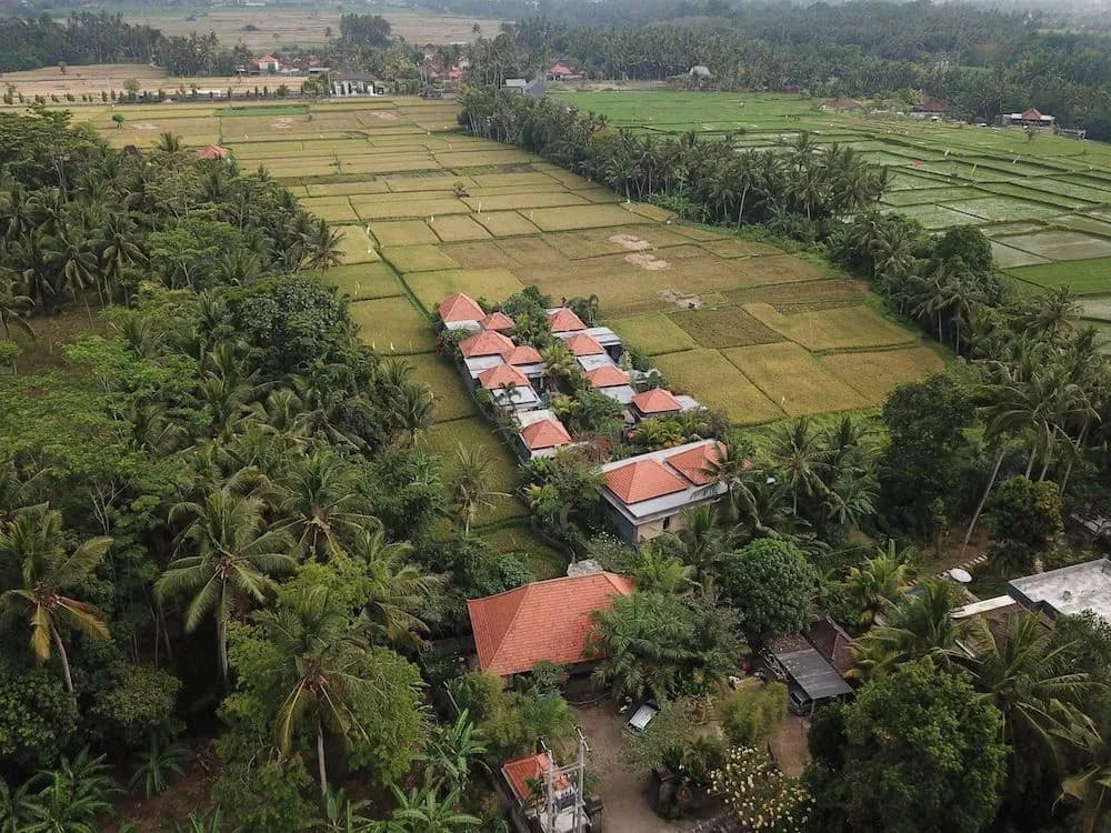 Asri Sari Resort Ubud - photo 17