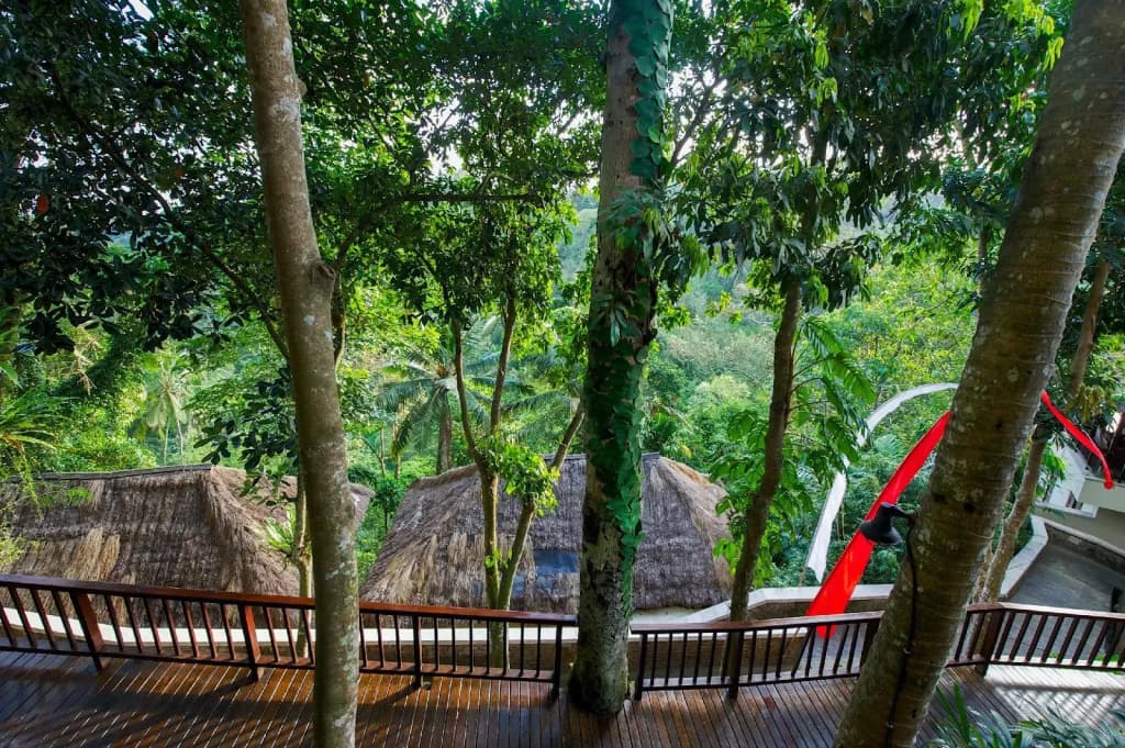 Natura Resort and Spa - photo 25