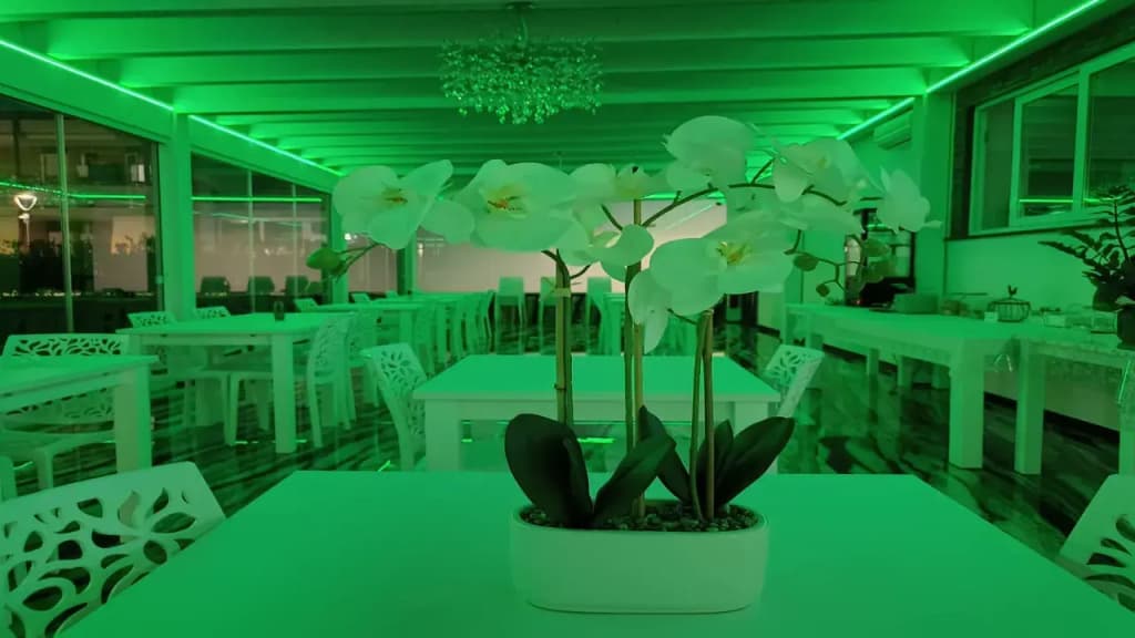 Hotel Ohana - photo 12