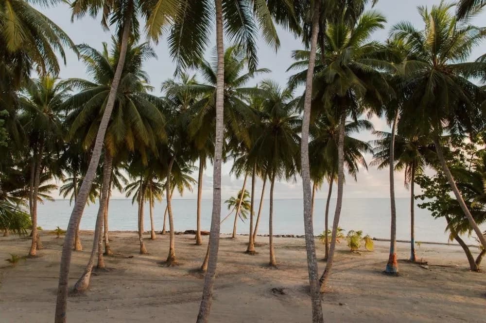 Riveli Retreat at Mathiveri Maldives - photo 24