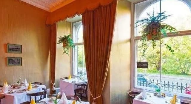 Halcyon Hotel - photo 26