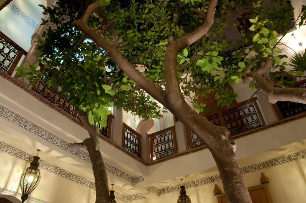 Riad Granvilier - photo 1