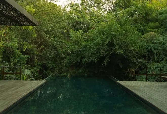 ANVAYA - photo 2