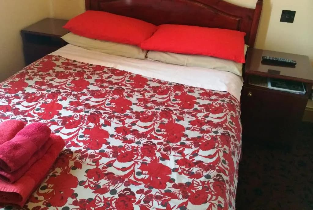 Bellevue Guest House - photo 5
