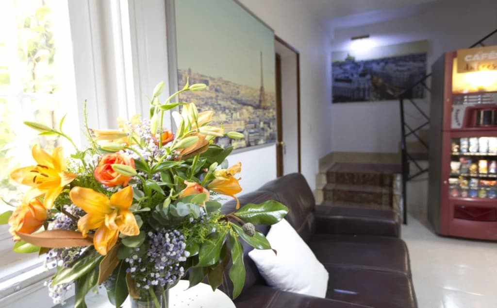 Hostal Veracruz - photo 10