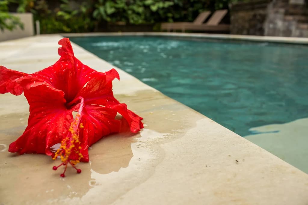 Bisma Jaya Bungalow - photo 7