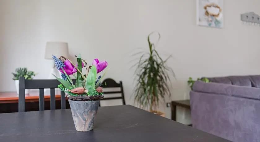Studio Vondelpark Adjacent Eerste Helmersstraat - photo 10